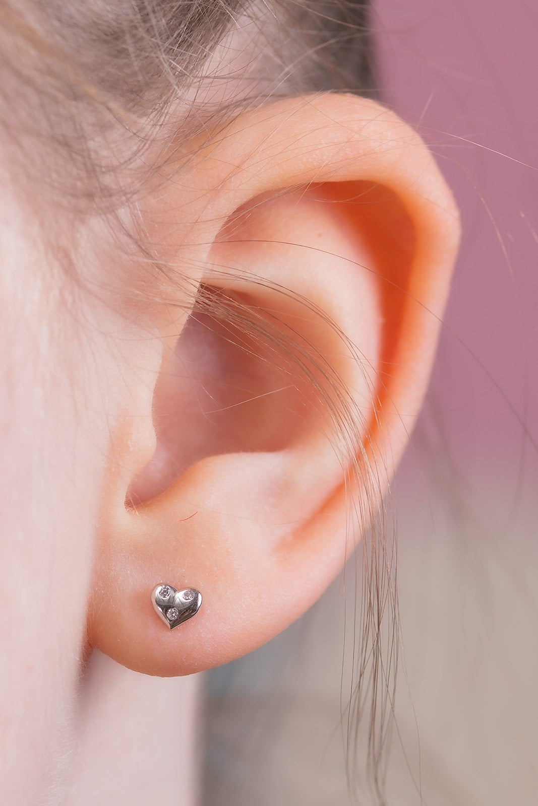King of My Heart Stud